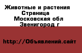  Животные и растения - Страница 2 . Московская обл.,Звенигород г.